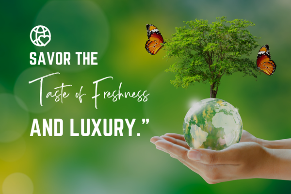 slider image 1621243260e1af0c20-0